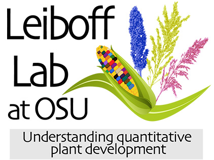 PlantLab-leibofflab-logo