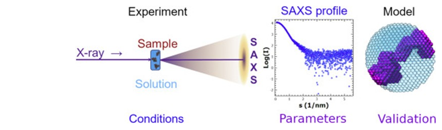 Diagram of BioSAXS workflow