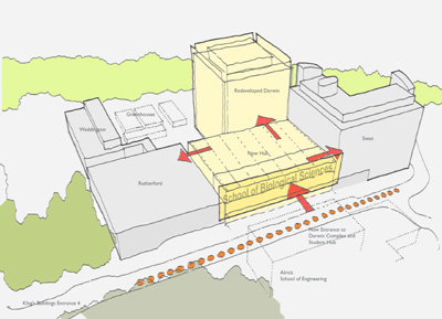 Darwin diagram