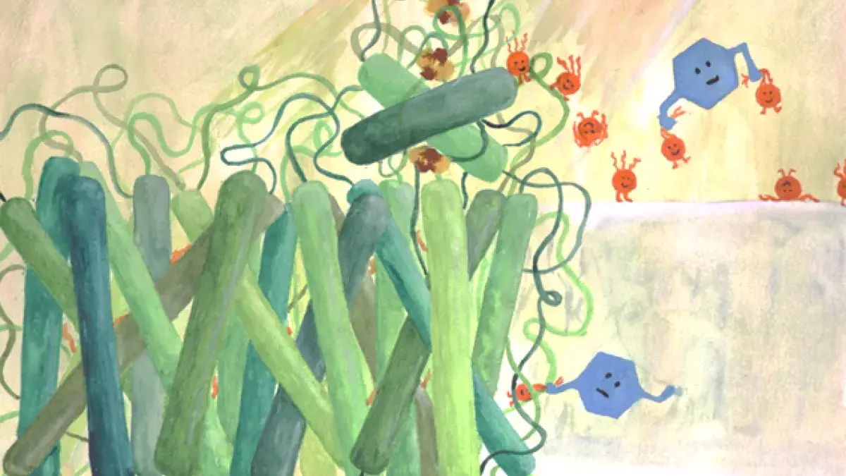 Mediators stealing electrons from photosystem