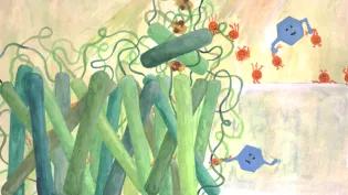 Mediators stealing electrons from photosystem