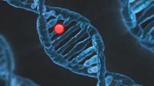 DNA helix
