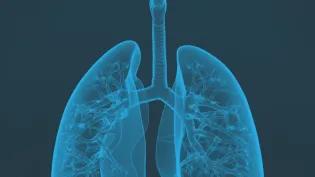Blue lungs on a black background
