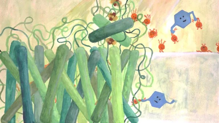 Mediators stealing electrons from photosystem
