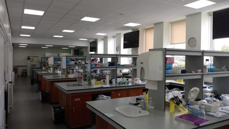 Image of Peter Wilson Lab G.128