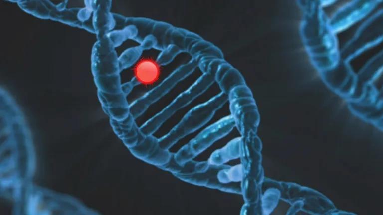 DNA helix