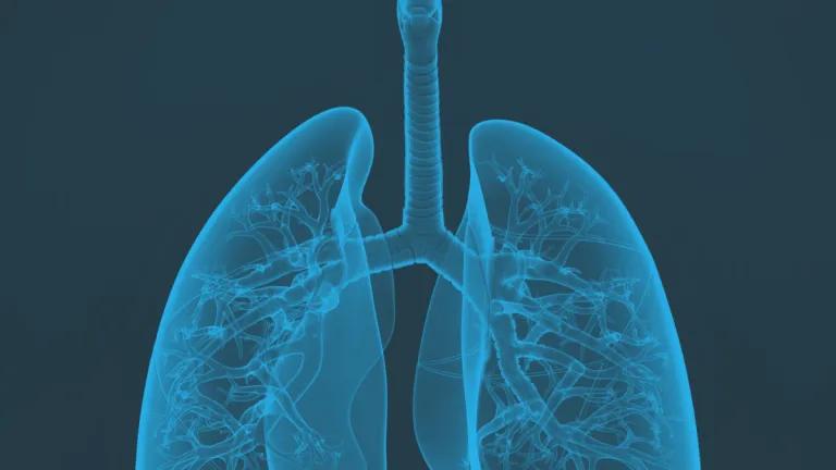 Blue lungs on a black background