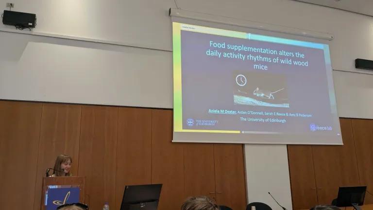Aniela speaking next to her presentation featuring the picture of a wood mouse and her talk title "Food supplementation alters the daily activity rhythms in wild wood mice"