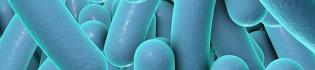 WallaceLab-Engineering-Microbiology-Chemical-Synthesis-Slide