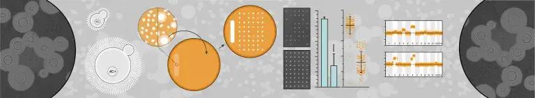 Illustration of cells in black, white, grey and orange