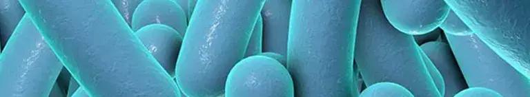 WallaceLab-Engineering-Microbiology-Chemical-Synthesis-Slide