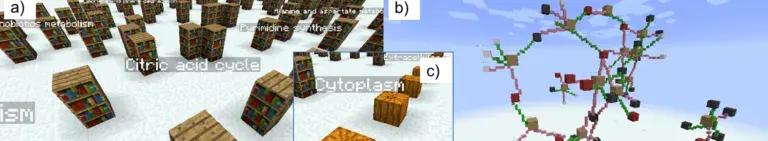 Screenshot from Metabocraft, with models made from blocks and blocks with names: Citruc acid, Cytoplasm and Pyrimide synthesis