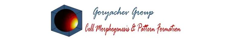 Goryachev-Site-Banner