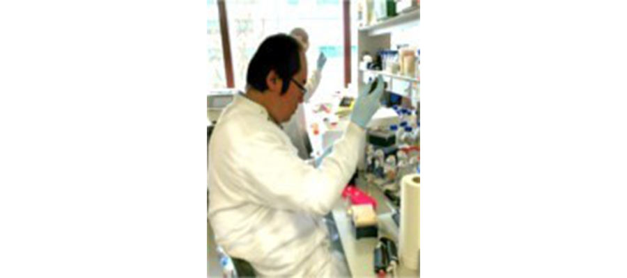 Dr. Chao-Kuo Liu working in the lab.