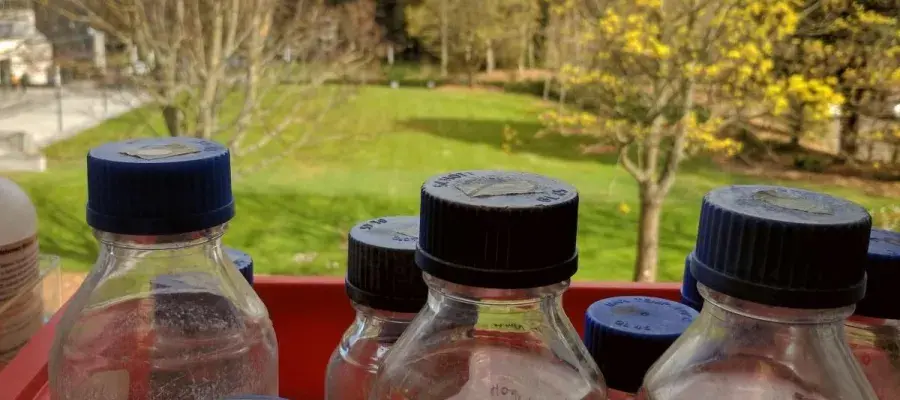 A number of jars with chemicals on a window sill with the view of trees outside of the window.