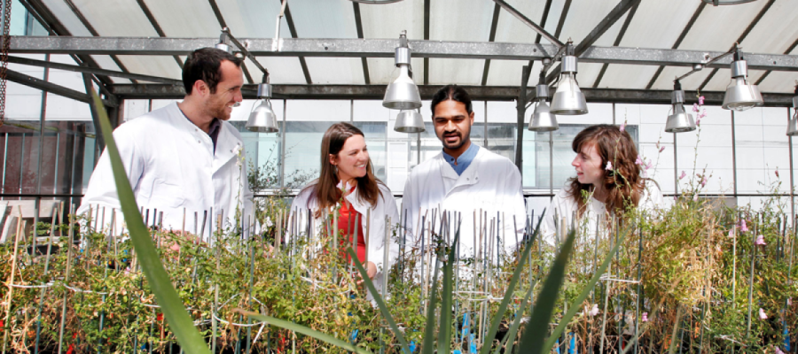 biological_sciences_glasshouses_provide_plant_growth_facilities