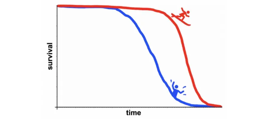 Sexual Dimorphism in Immunity and Ageing