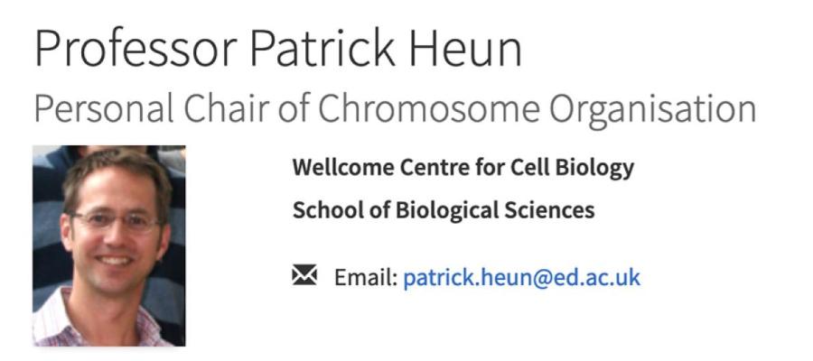 Photo of a contact card for Professor Patrick Heun