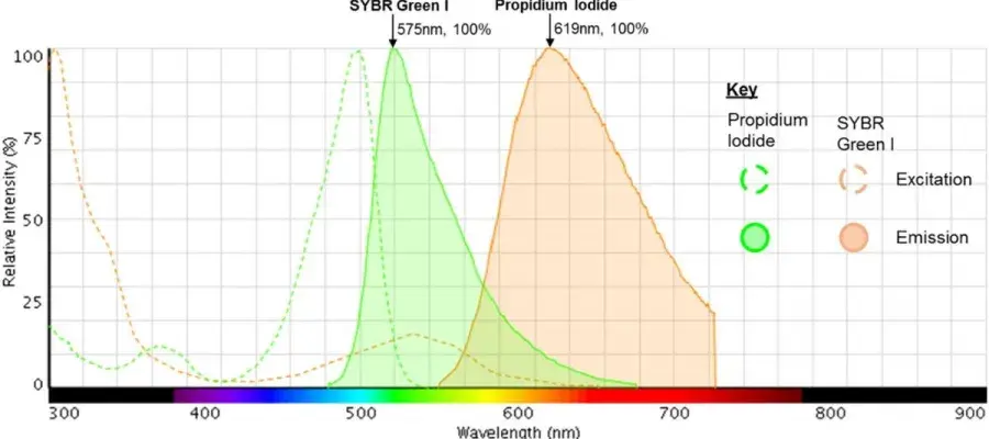 Schematic from Duedu and French 2017 article titled Characterisation of novel biomass degradation enzymes from the genome of Cellulomonas fimi