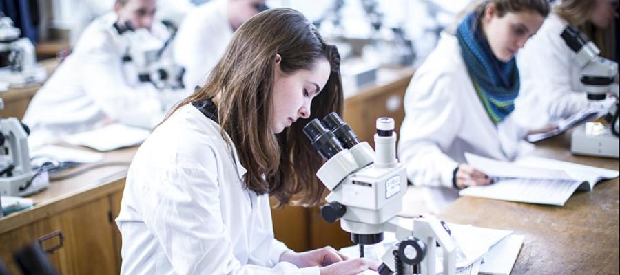 Student using a microscope