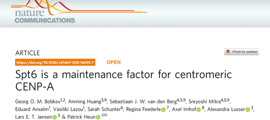 Screenshot of a lab group publication