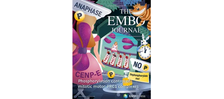 EMBO journal cover image, issue November 2023 featuring Welburn lab work