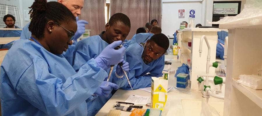 Researchers working in lab