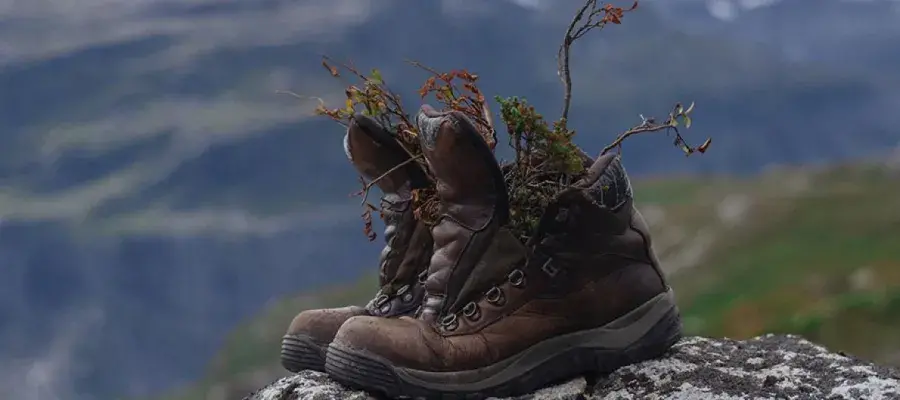 Hiking boots