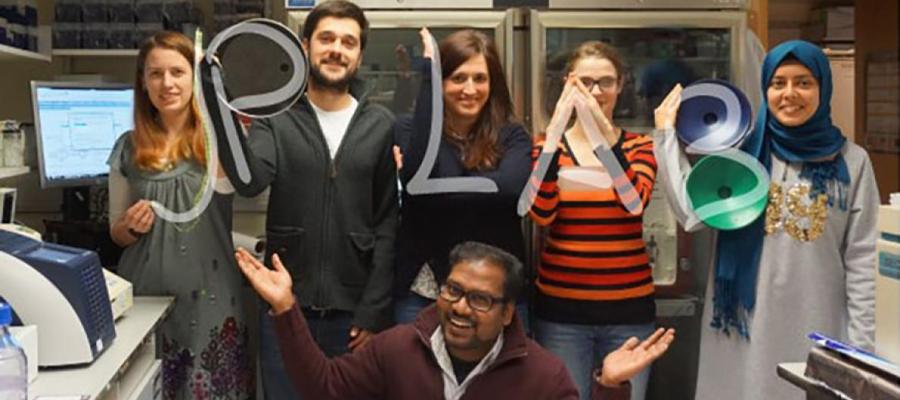 Group photo with the lab members making the letters of 'JP LAB' with their arms, JP crouches in front