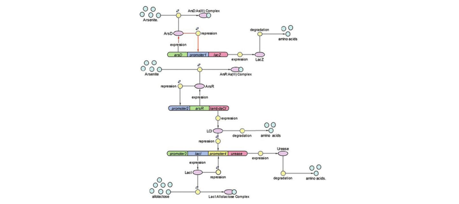 Diagram for Aleksic et al (2007) - see text for article link.