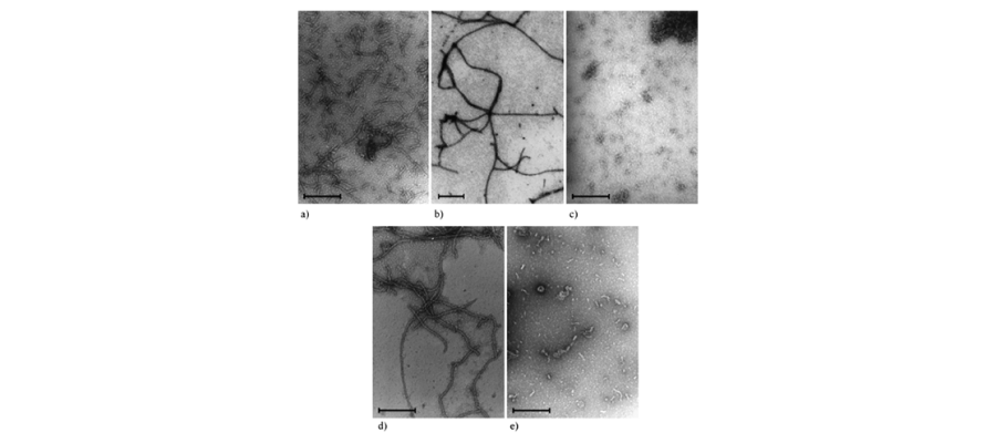 Diagram for Boonstra et al (2000) - see text for article link.