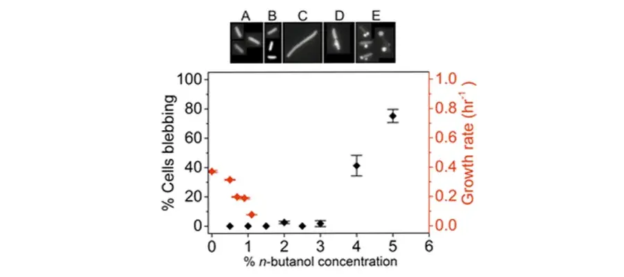 Diagram for Fletcher et al (2016) - see text for article link.