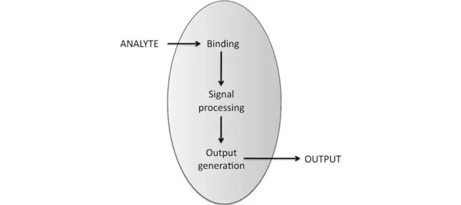 Diagram for French et al (2015) - see text for article link.
