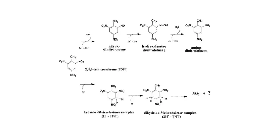 Diagram for Hannink et al (2003) - see text for article link.