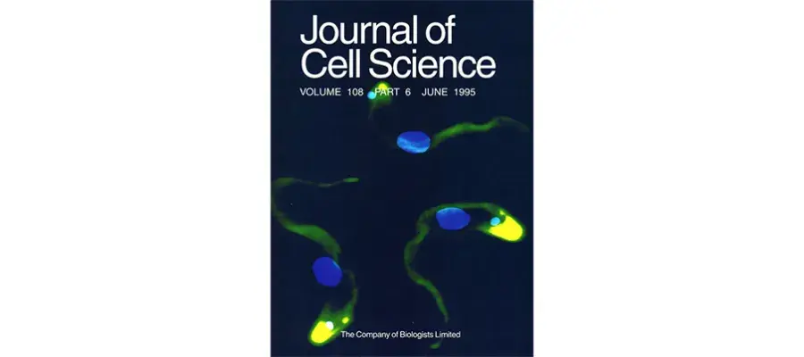 Cover of Journal of Cell Science, Volume 108, Part 6, June 1995.