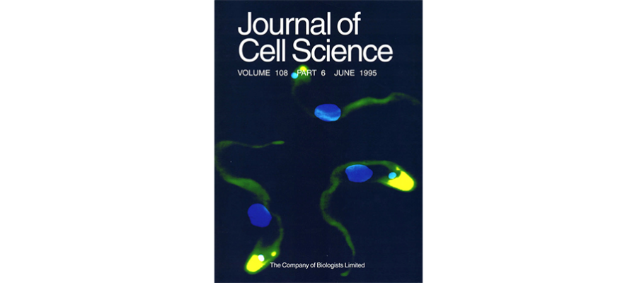Cover of Journal of Cell Science, Volume 108, Part 6, June 1995.