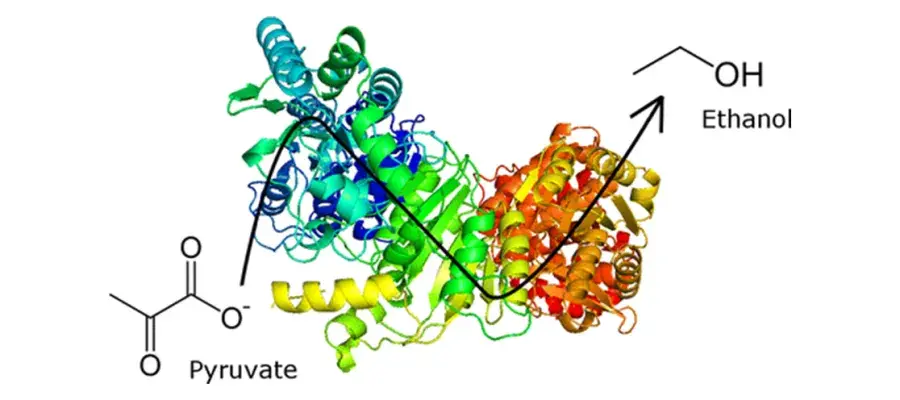 Diagram for Lewicka et al (2014) - see text for article link.