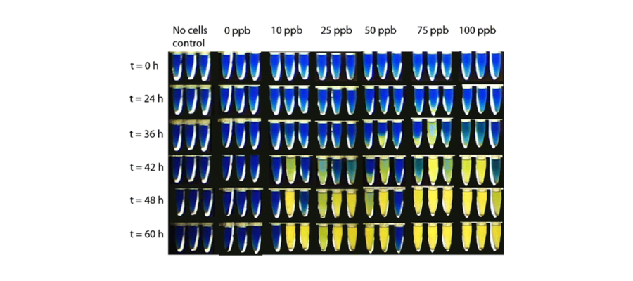 Diagram for Mena-Benitez et al (2011) - see text for article link.