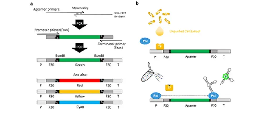 Diagram for Millacura et al (2019) - see text for article link.