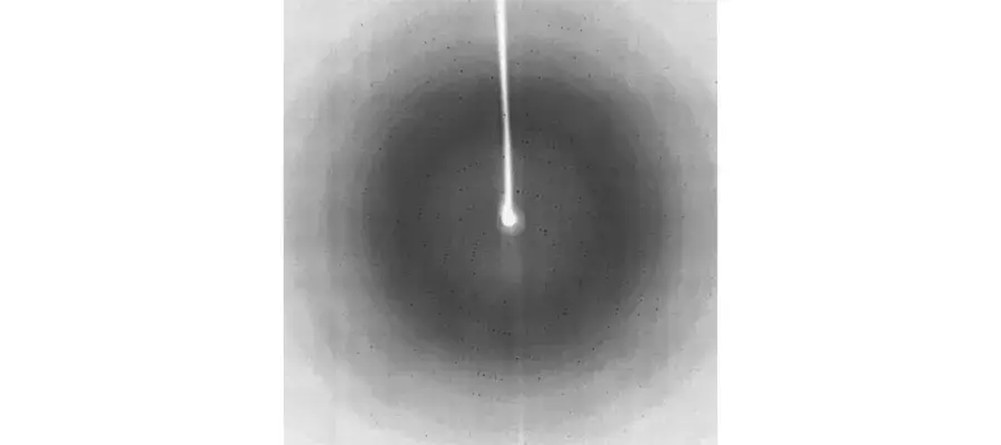 Diagram for Moody et al (1998) - see text for article link.
