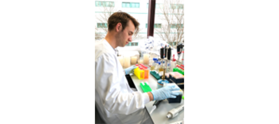 Niels Wicke working in the lab.