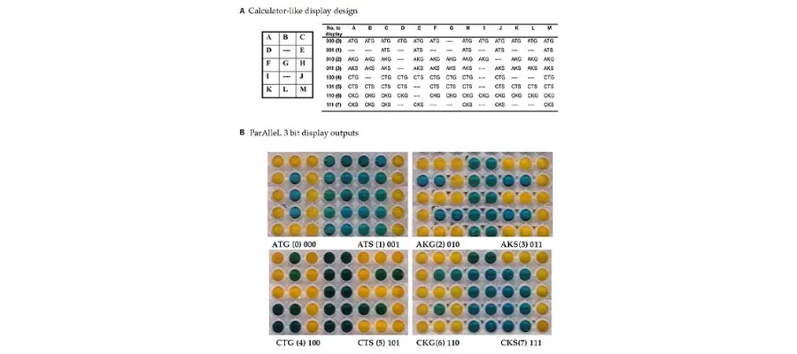 Diagram for Millacura et al (2019) - see text for article link.