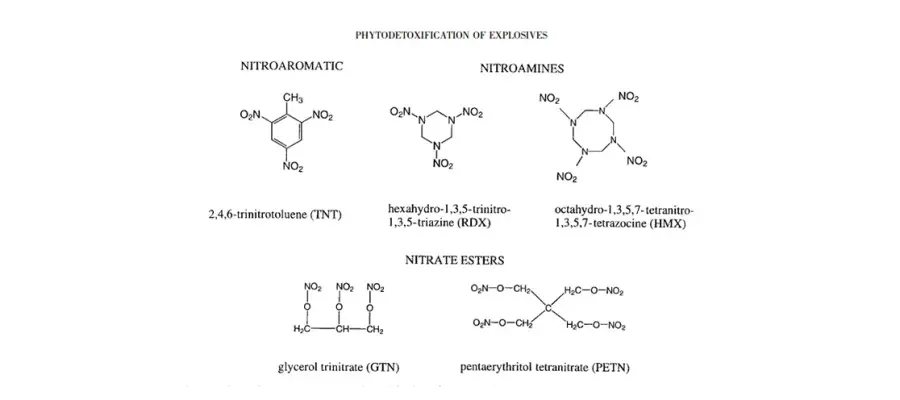Diagram for Rosser (2001) - see text for article link.