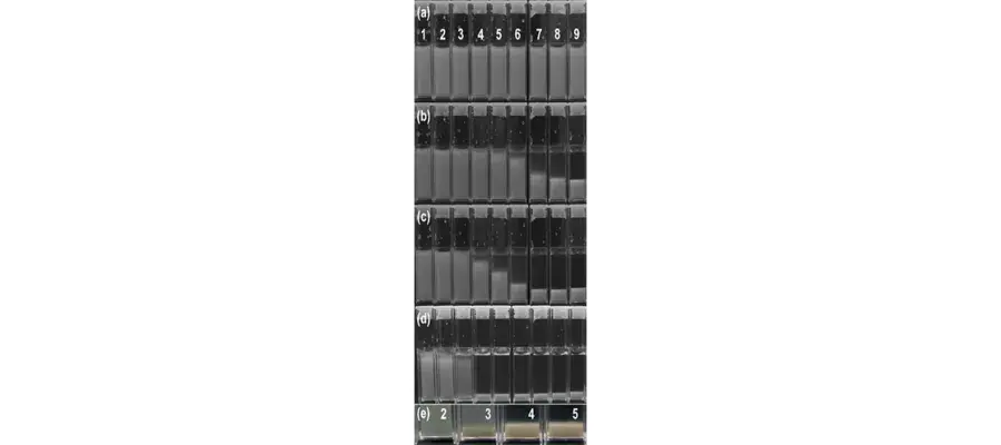 Diagram for Schwarz-Linek et al (2010) - see text for article link.