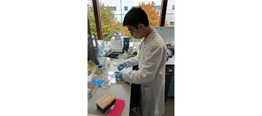 Teri working in the lab.