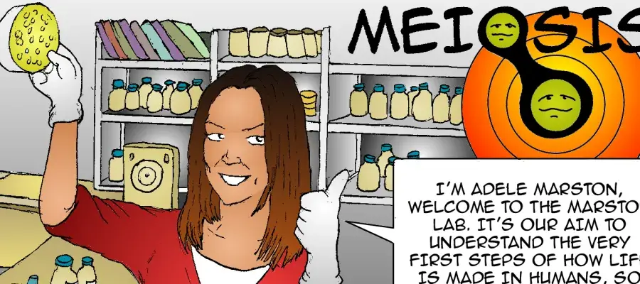 Marston Lab comic strip excerpt - see Our Engagement for comic transcript.