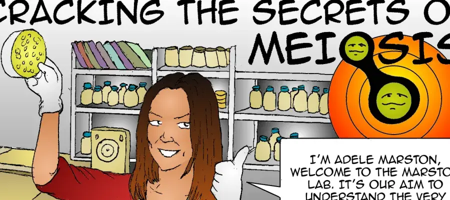 Excerpt of the Marston lab comic - see transcript on the comics page.
