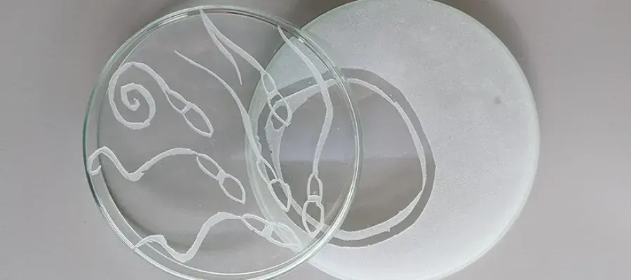 Sandblasted petri dish artwork.