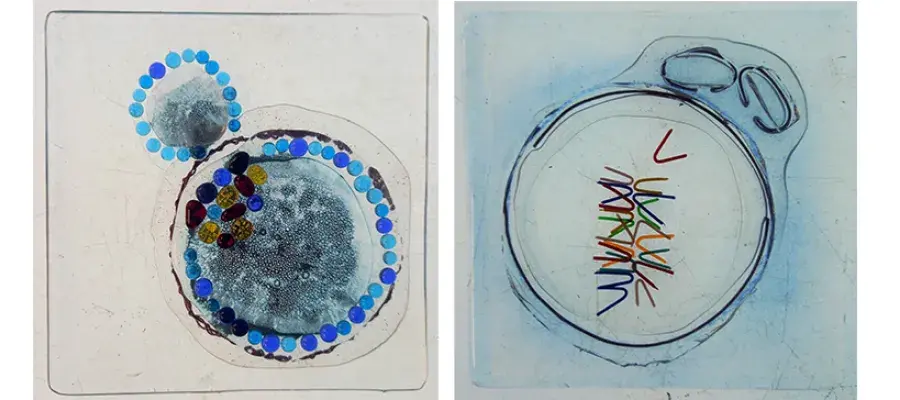 Collage of two tile artworks.