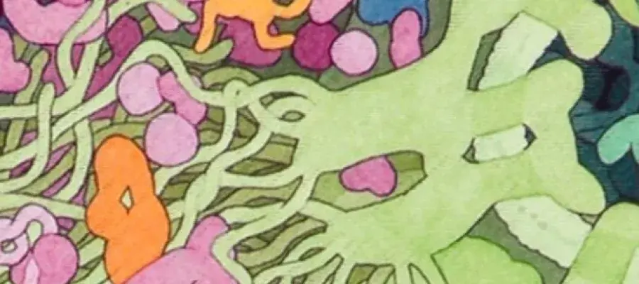 cartoon drawing of inside a cell